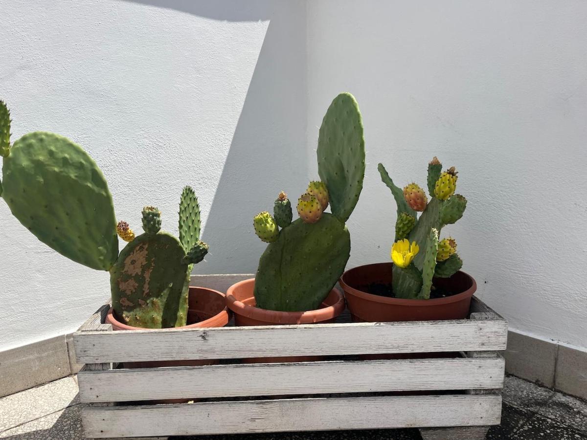 Appartamento Monteverde Double Terrace Penthouse Roma
